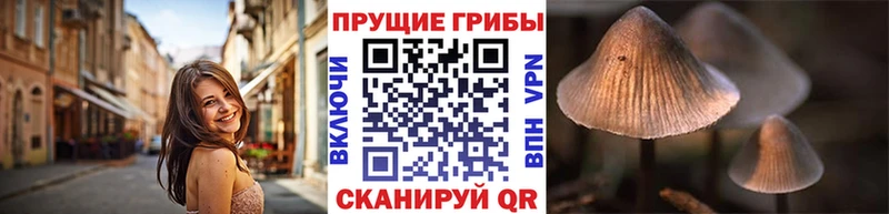 blacksprut как войти  Асино  Галлюциногенные грибы MAGIC MUSHROOMS 