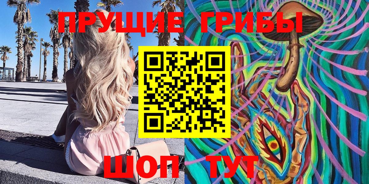Псилоцибиновые грибы Psilocybe  Вход с VPN  Асино 